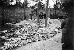 Masowy grób, ekshumacja 1943