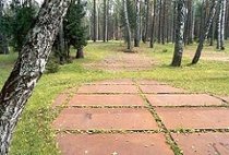 Katyń, zarys masowych grobów